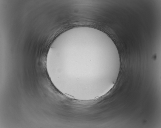 X0000114590045200911301410