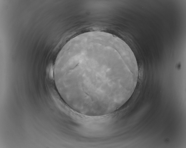 X0000114590046200911301410