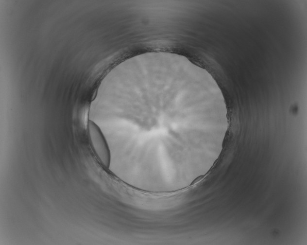 X0000114590047200911301410
