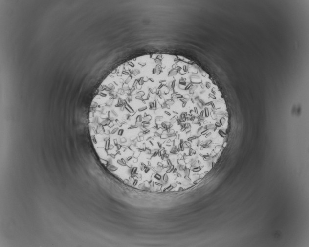 X0000114590048200911301410
