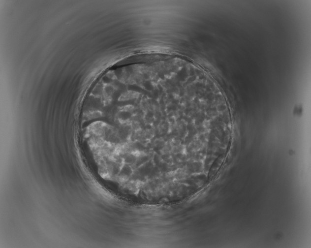 X0000114590049200911301409