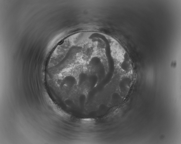 X0000114590053200911301409