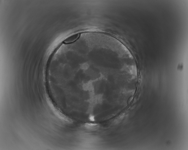 X0000114590055200911301409