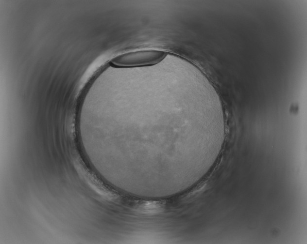 X0000114590056200911301409