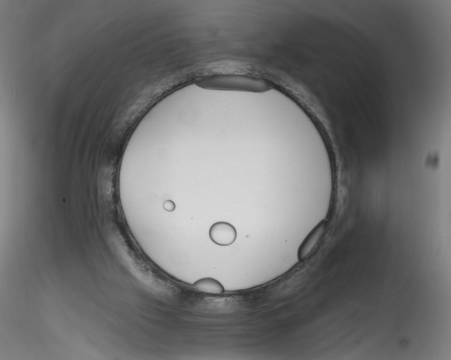 X0000114590057200911301409