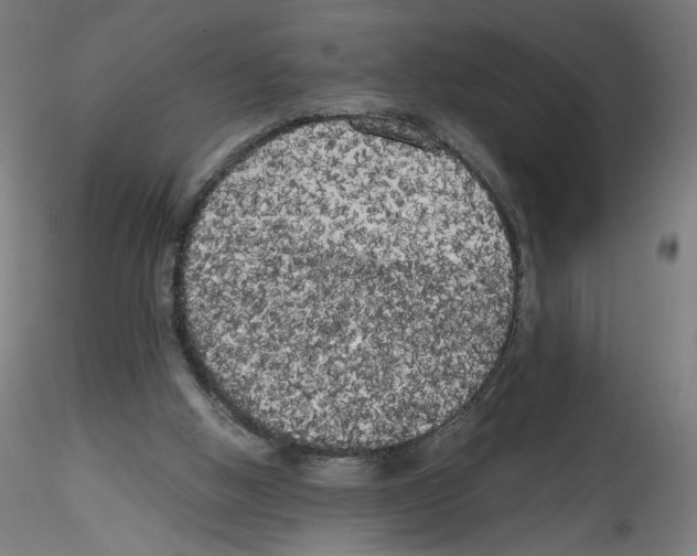 X0000114590058200911301409