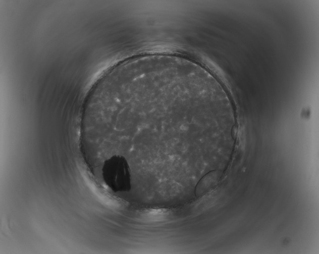 X0000114590059200911301409