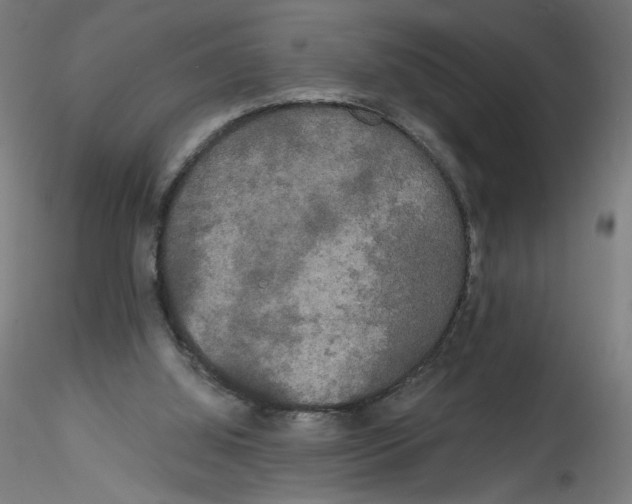 X0000114590060200911301409