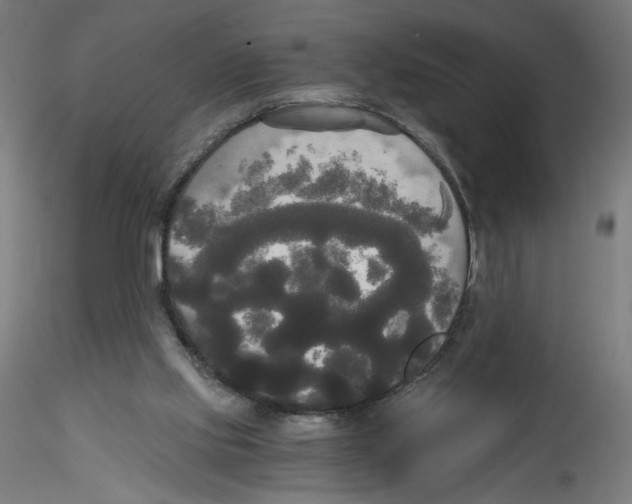 X0000114590061200911301409