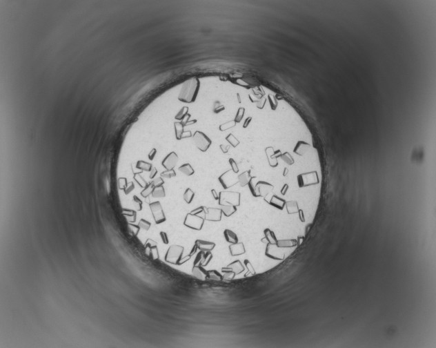 X0000114590062200911301409