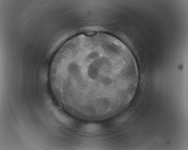 X0000114590063200911301409