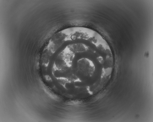 X0000114590065200911301409