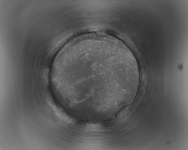 X0000114590066200911301409