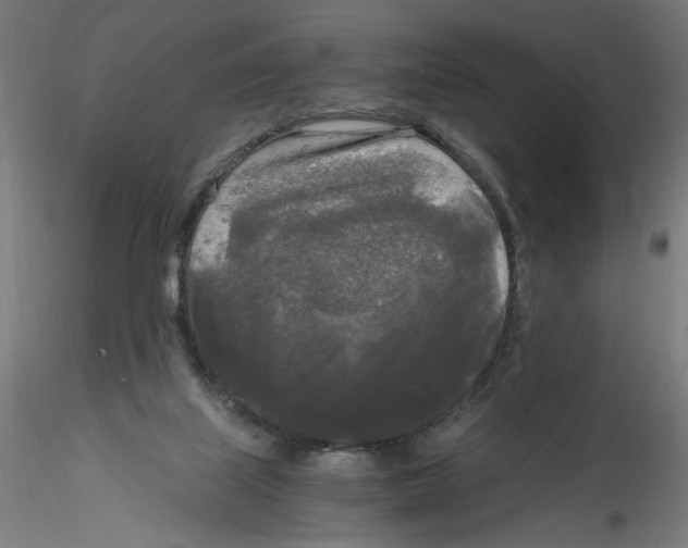 X0000114590067200911301409