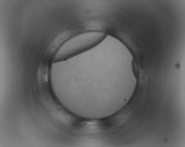 X0000114590068200911301409
