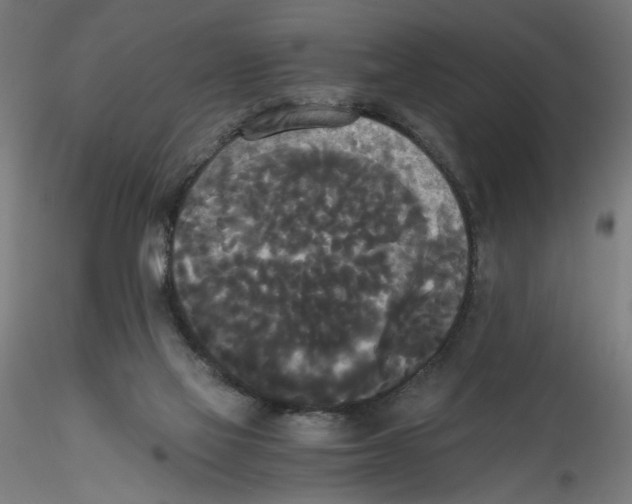 X0000114590069200911301409