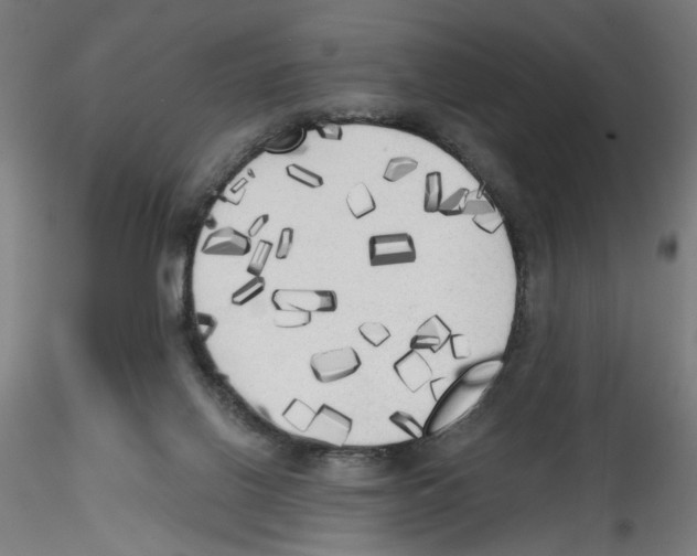 X0000114590070200911301409