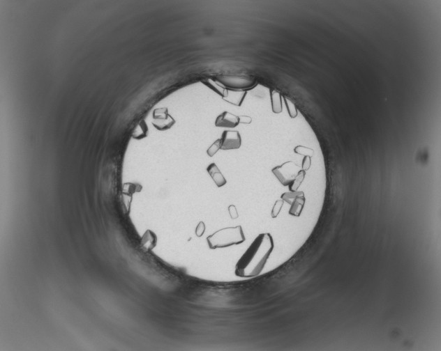 X0000114590071200911301409