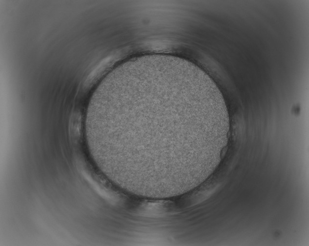 X0000114590072200911301409
