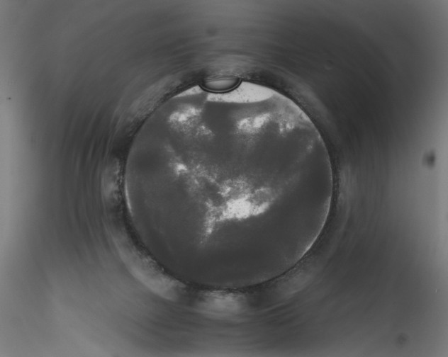 X0000114590073200911301409