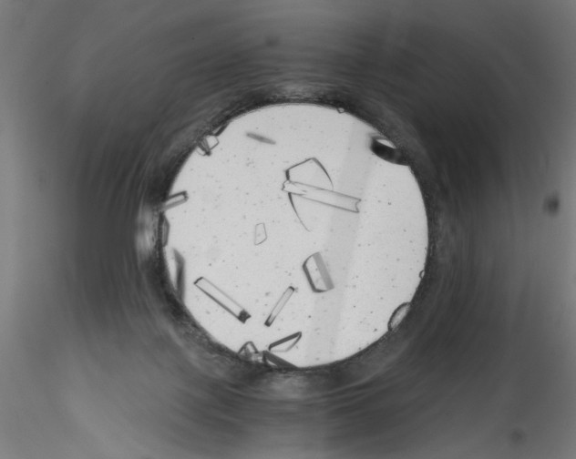 X0000114590075200911301409