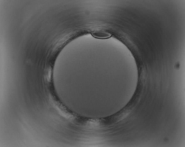 X0000114590076200911301409