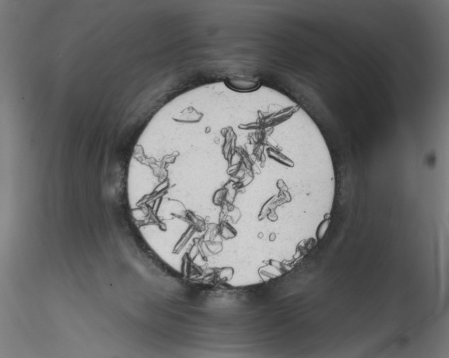 X0000114590077200911301409