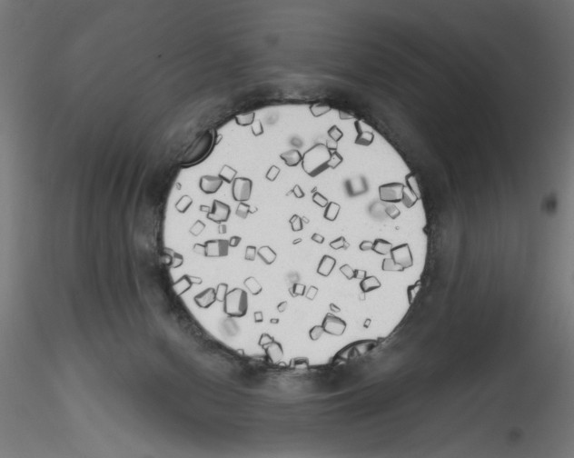 X0000114590078200911301409