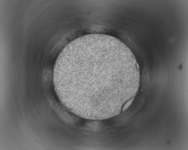 X0000114590079200911301409