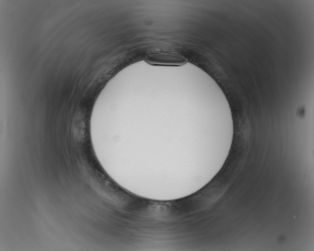 X0000114590080200911301409