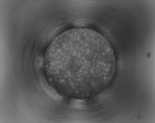 X0000114590081200911301409