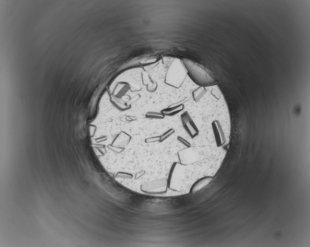X0000114590082200911301409