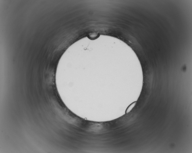 X0000114590083200911301409