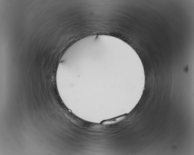 X0000114590084200911301409