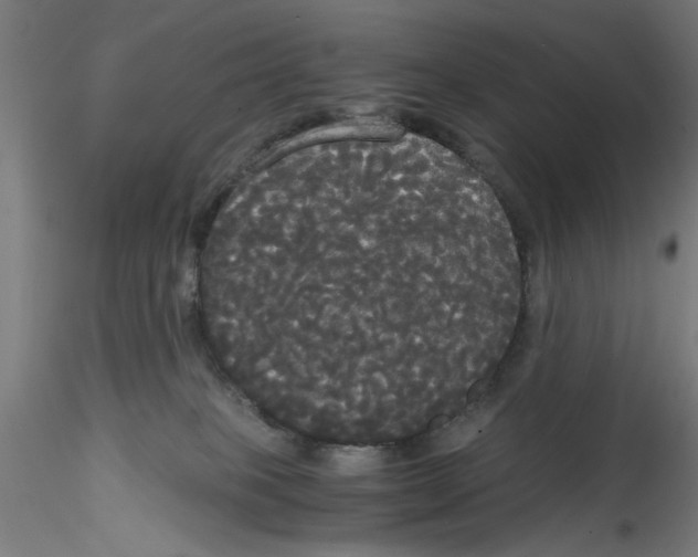 X0000114590085200911301409