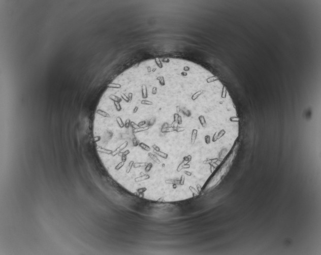 X0000114590087200911301409