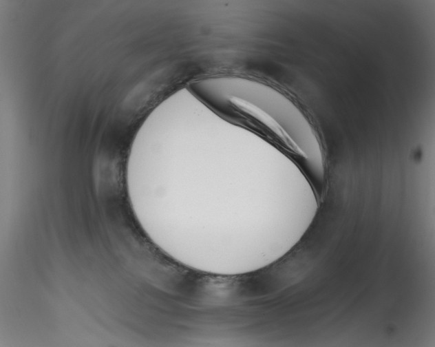 X0000114590088200911301410