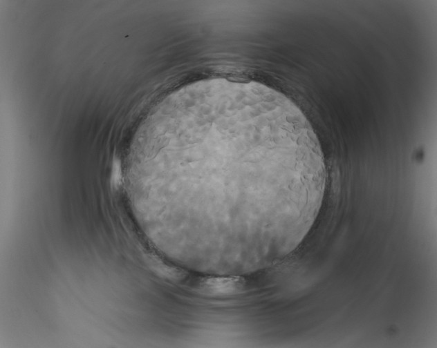 X0000114590089200911301410