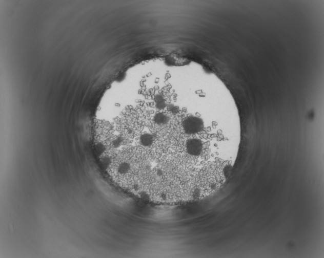 X0000114590090200911301410