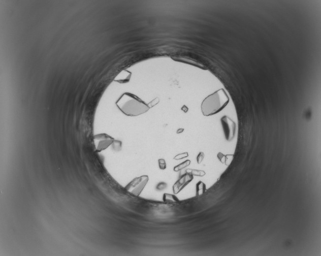 X0000114590091200911301410