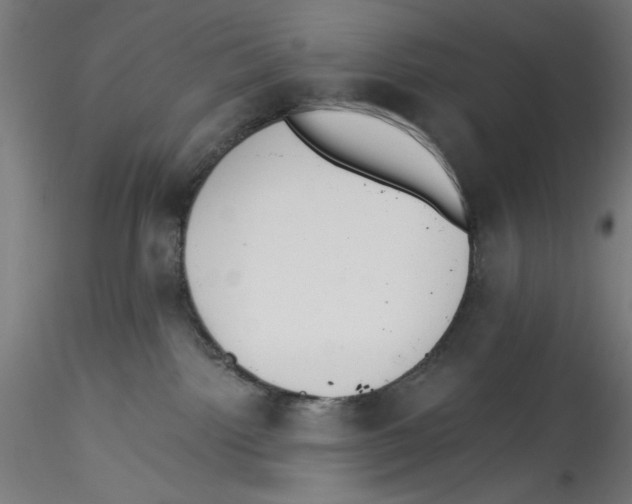 X0000114590092200911301410