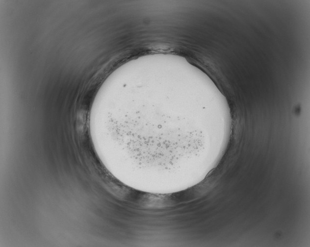 X0000114590093200911301410