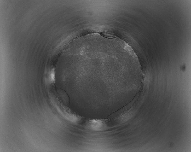 X0000114590095200911301410