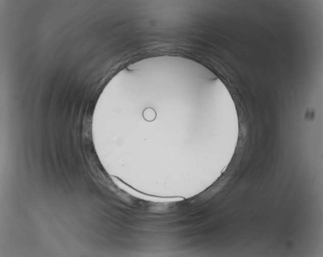 X0000114590096200911301410