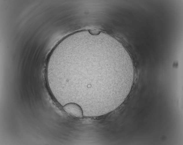 X0000114590098200911301409