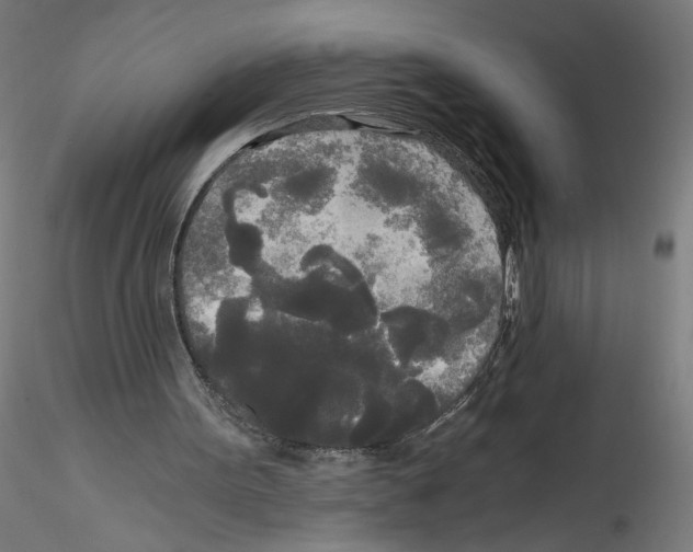 X0000114590099200911301409