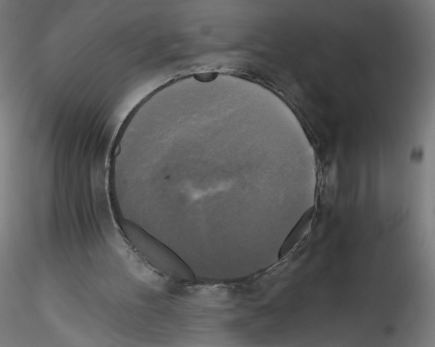 X0000114590100200911301409