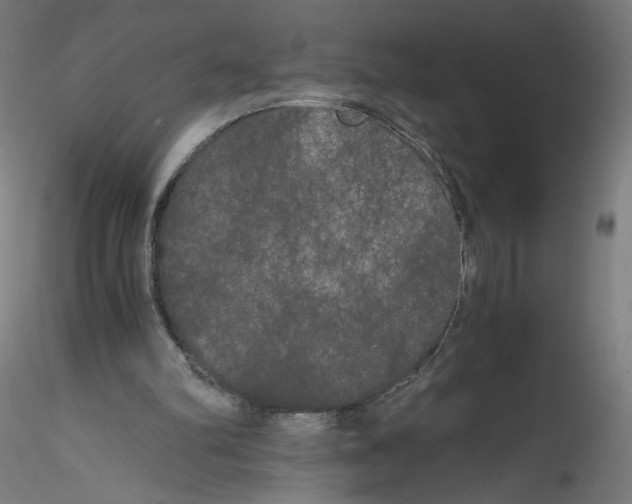 X0000114590102200911301409