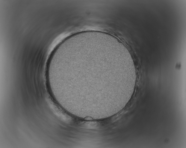 X0000114590104200911301409