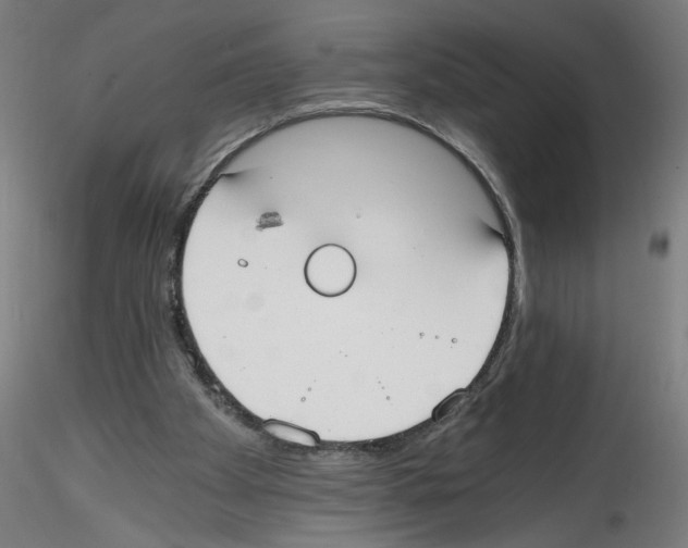 X0000114590105200911301409